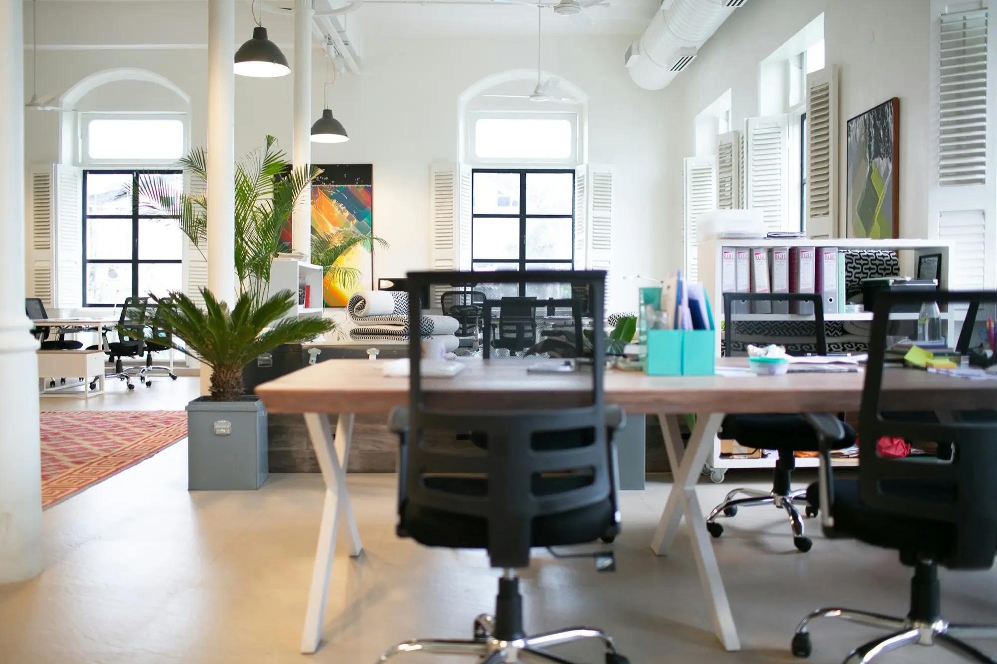 A small office with tall arched windows, shared desks and plants